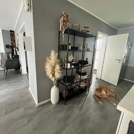 M-house Am Anger Bei Berlin Familien, Hunde, Business Und Gastarbeiter Geeignet Kosmetik Angebote Verfuegbar Holiday home Falkensee